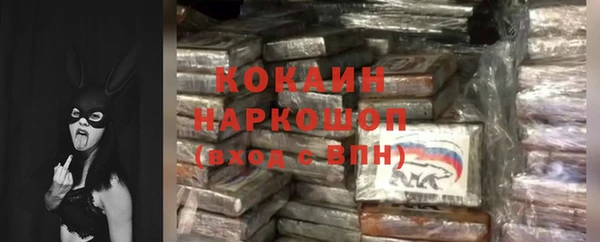 ECSTASY Алзамай