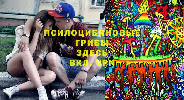 ECSTASY Алзамай